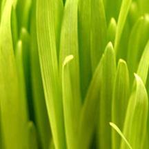 助您开拓市场的ddos接单平台